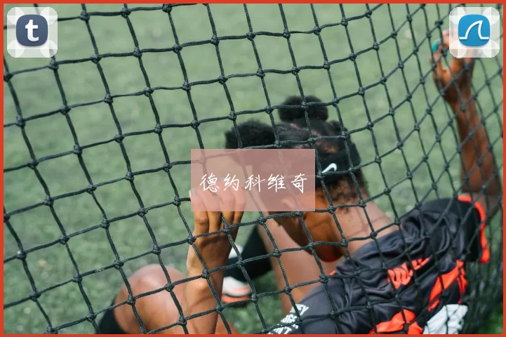 德约科维奇