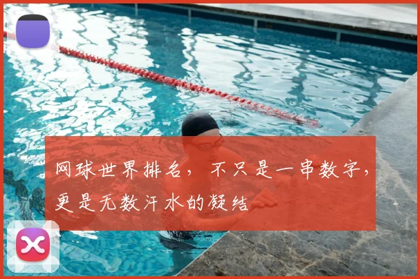 网球世界排名，不只是一串数字，更是无数汗水的凝结