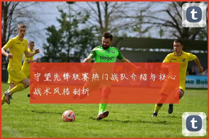 守望先锋联赛热门战队介绍与核心战术风格剖析