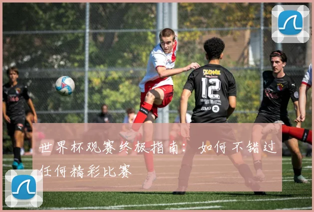 世界杯观赛终极指南：如何不错过任何精彩比赛